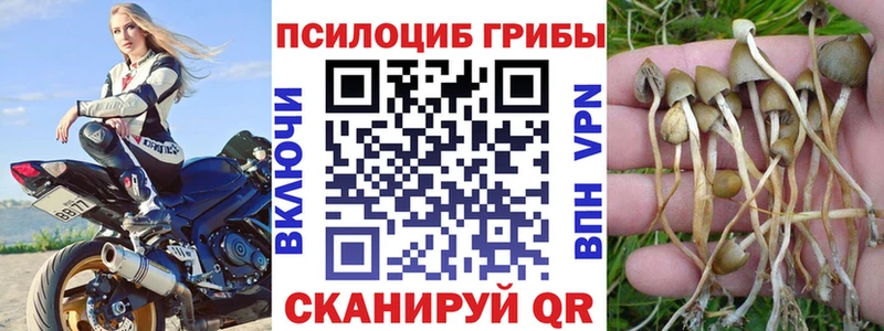 Галлюциногенные грибы Psilocybine cubensis Велиж