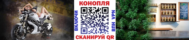 хочу наркоту  Велиж  Конопля гибрид 